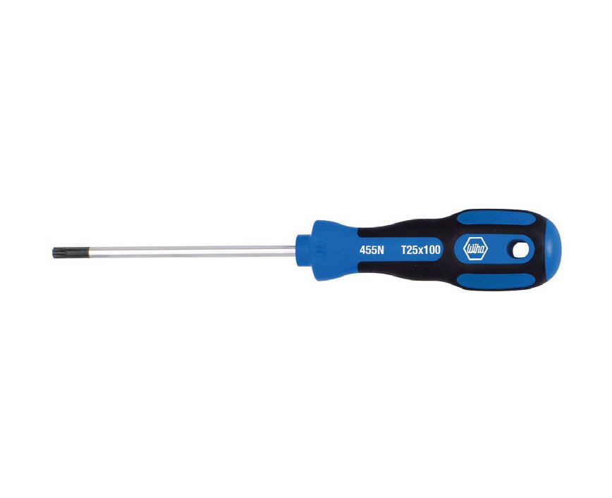455N T25*100 PROTURN TORX TORNAVIDA
